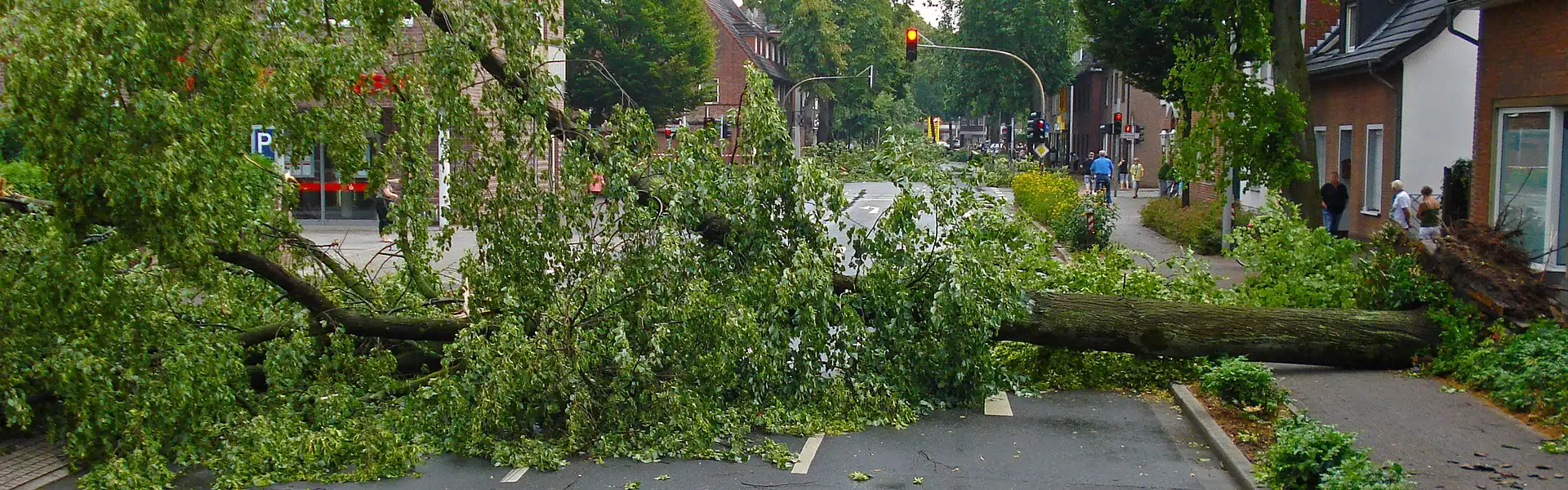 Storm Damage Banner